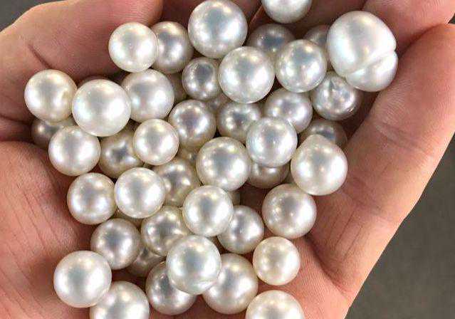 为什么遥远的布鲁姆成为小众旅行圣地？