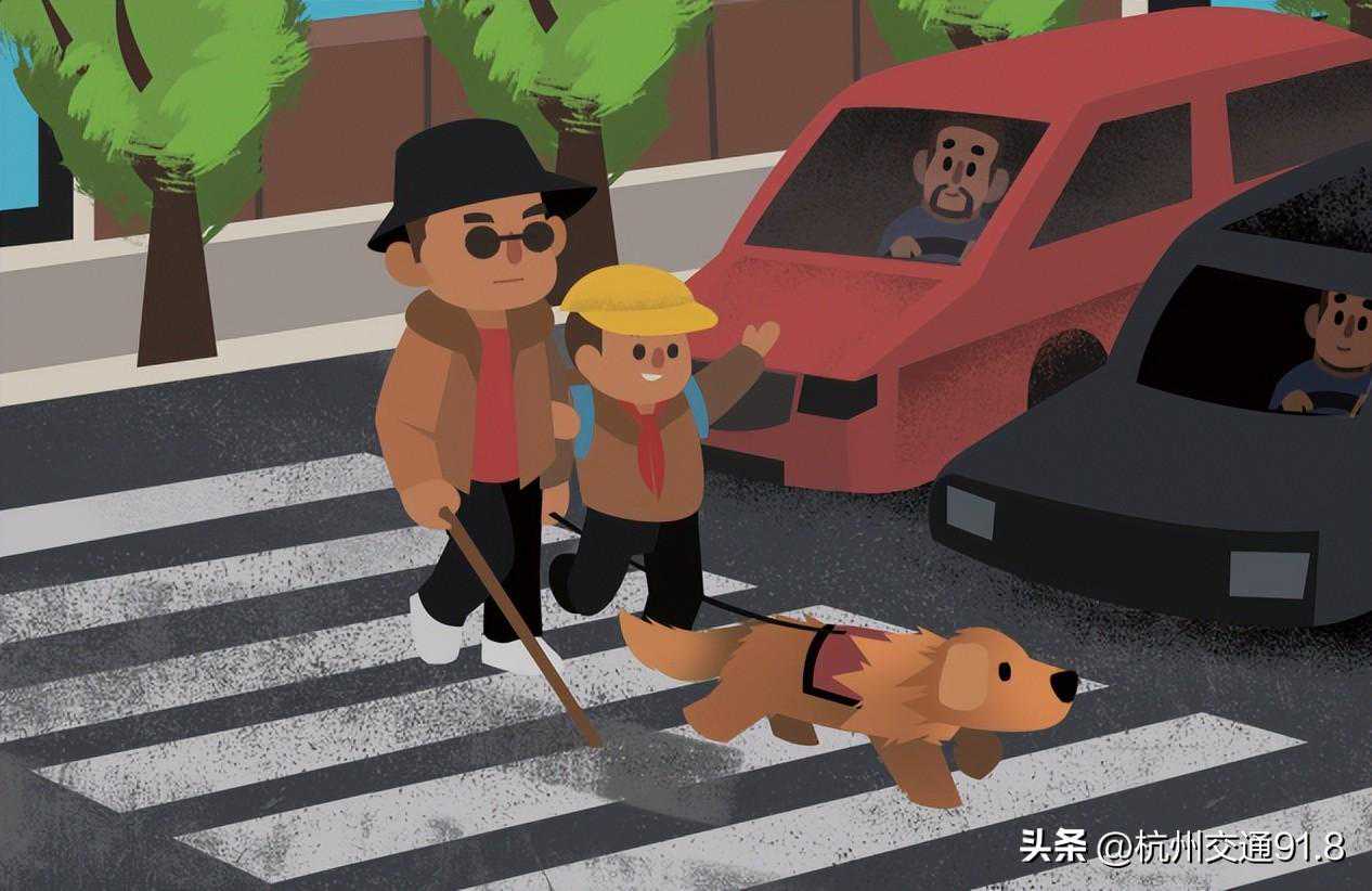 浙A9R88D、浙A960YU……这些车主被曝光