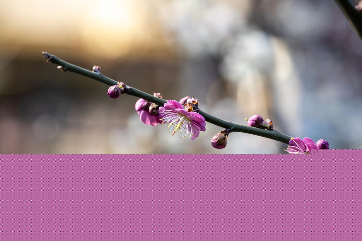 自动化产业的十大工控产品都是哪些？