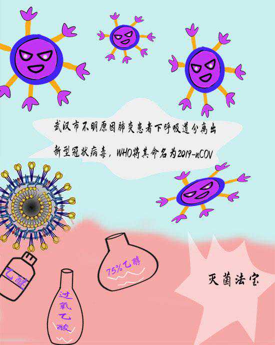 冠状病毒"族谱"曝光 专家带你找准防控要点