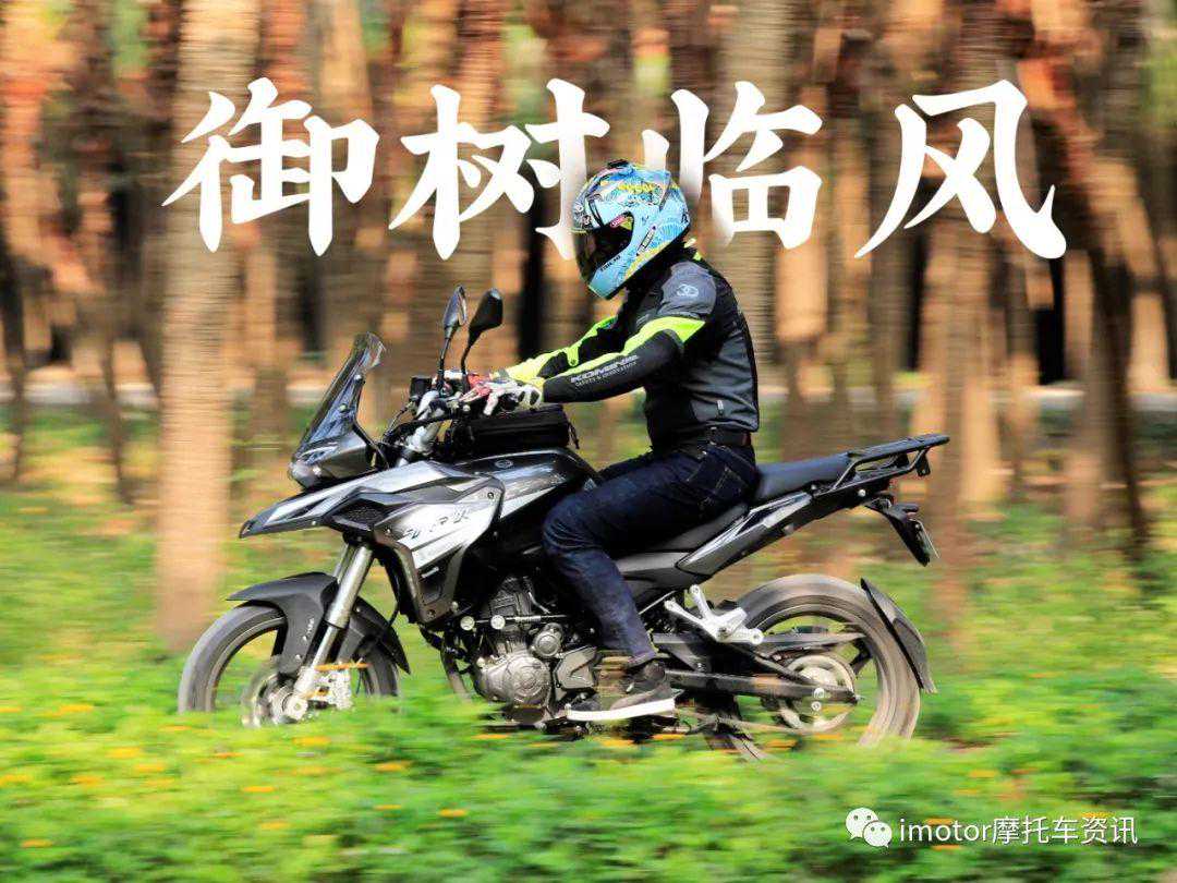 19800元入门“御树临风”大排量！贝纳利TRK-251评测