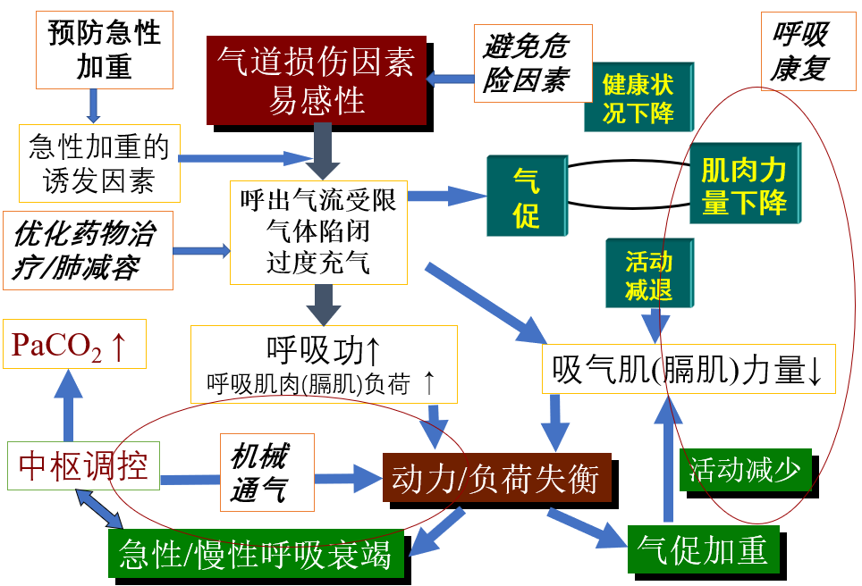 陈荣昌教授：无创通气（NIV）在慢阻肺病康复治疗中的应用与探索
