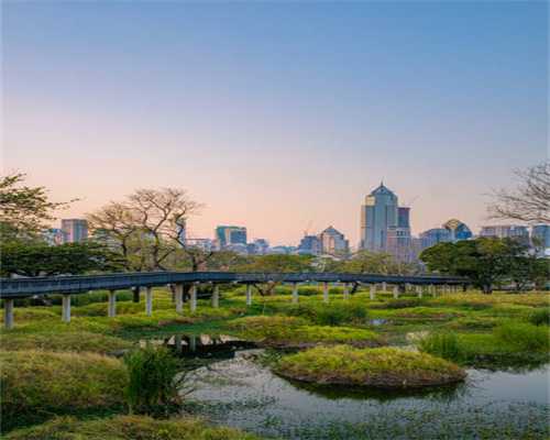 安哲利斯港有珍宝蟹节，当地人却很少去凑热闹，更愿意放船出海亲手捕捞｜王士跃