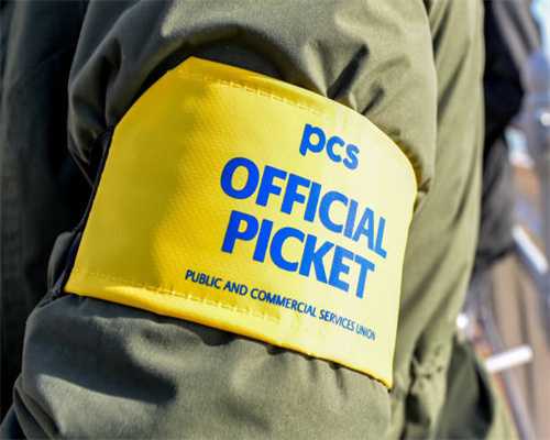 守住“沪”上粮仓，光明农发集团万亩小麦喜丰收，夏种水稻正当时……