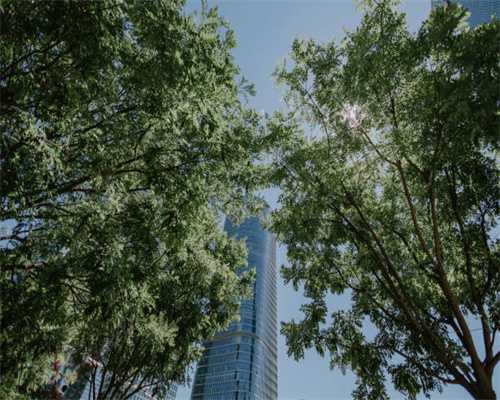 一天四艘超级大船同时命名，江南造船历史上首次