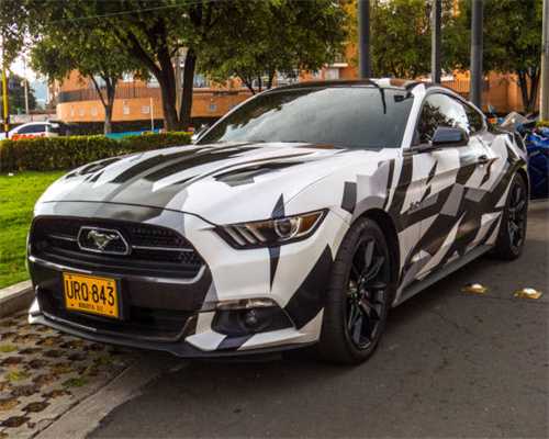 张宜的那根“风筝线”，一头连着血脉，一头连着文脉