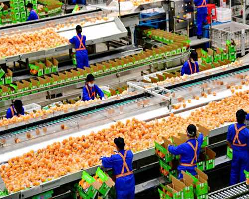 石墨盘根项目可行性研究报告