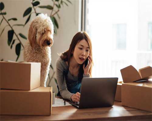 党建工作队在郯城｜李庄镇福泉村工作组“出奇制胜”让村集体增收