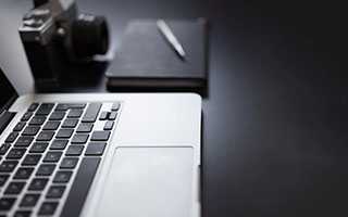 河南淅川：艾草香正浓 收割正当时