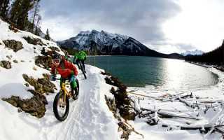 “达州造”现代农机装备亮相长沙