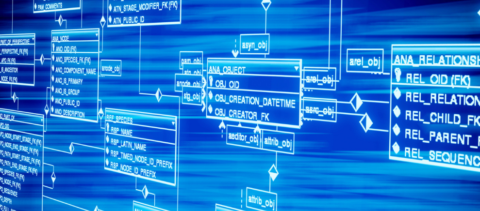 揭密｜现场成交560万，一场高逼格的青贮机演示会是这样策划的！