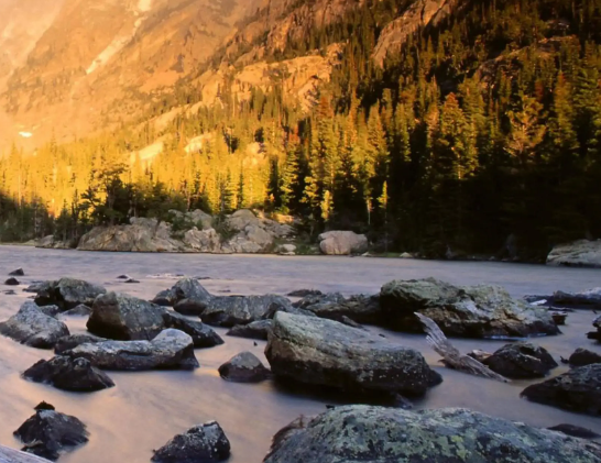 三大收割机正在收割老年人手里的钱